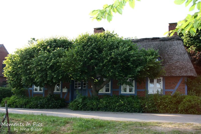 2010-06-26 Arc-en-ciel Arlequin (69).jpg